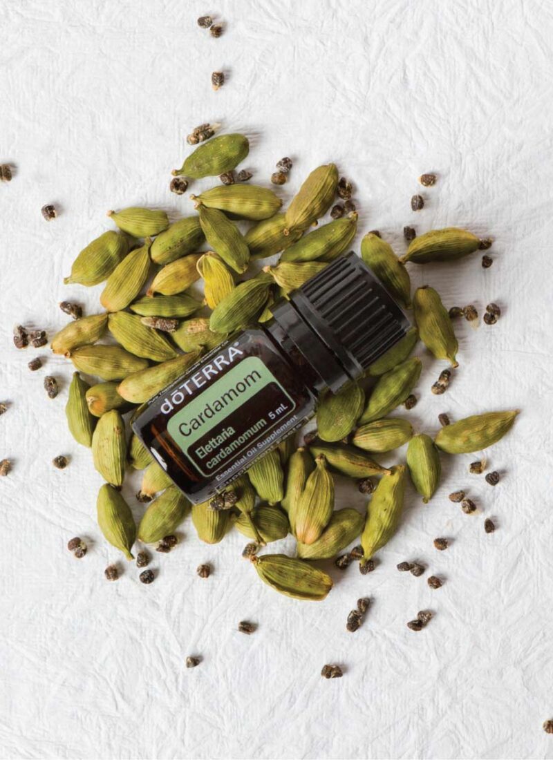 Cardamom-Öl von doTERRA – Warum es im September´25 absolut in deinen Warenkorb muss!
